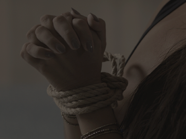 SHIBARI EXP SHIBARI New