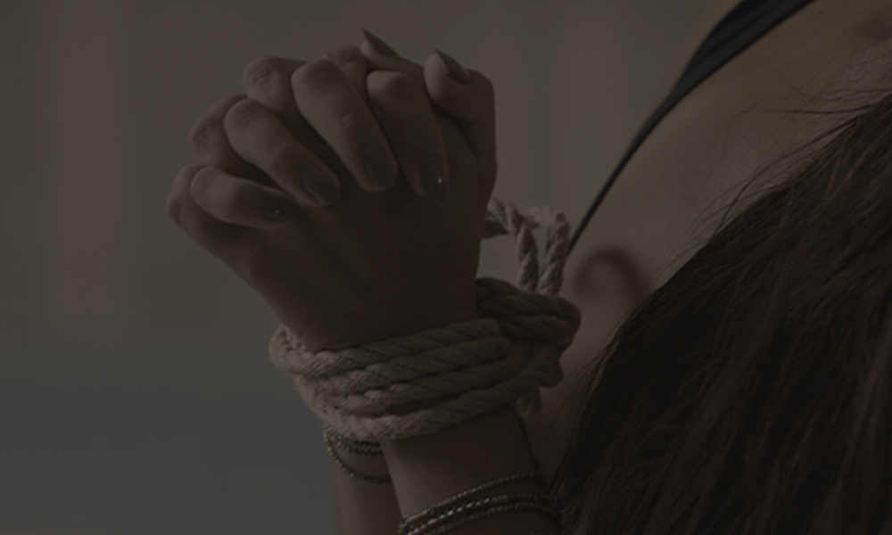 SHIBARI EXP SHIBARI New