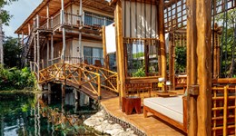 Shibarigrand1